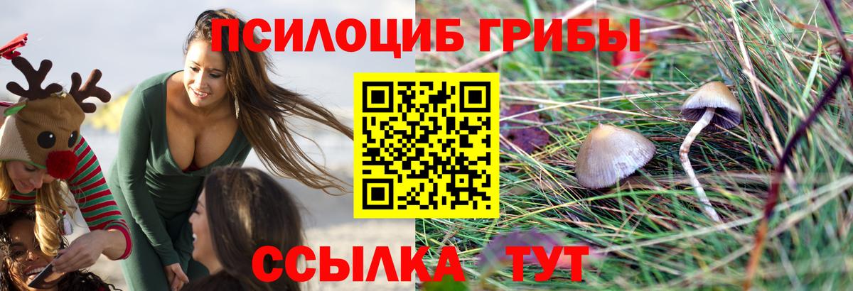 Псилоцибиновые грибы Magic Shrooms  Псилоцибиновые грибы ЛСД  Курчалой  Вход с VPN 