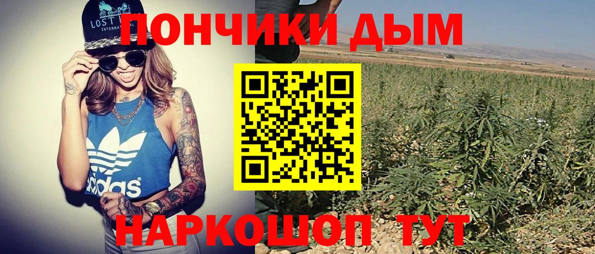 Курчалой  Бошки марихуана Bruce Banner  Бошки марихуана марихуана  Бошки марихуана конопля  Марихуана White Widow  Вход с VPN 